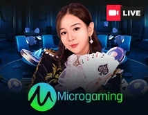 10_MicroGaming
